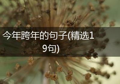 今年跨年的句子(精选19句)