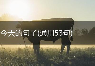 今天的句子(通用53句)