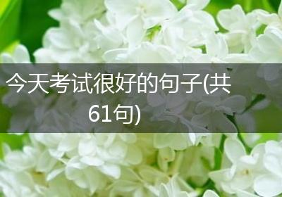 今天考试很好的句子(共61句)