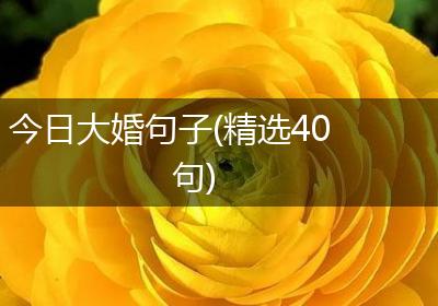 今日大婚句子(精选40句)