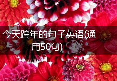 今天跨年的句子英语(通用50句)