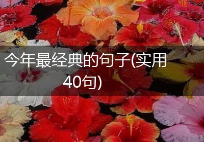 今年最经典的句子(实用40句)
