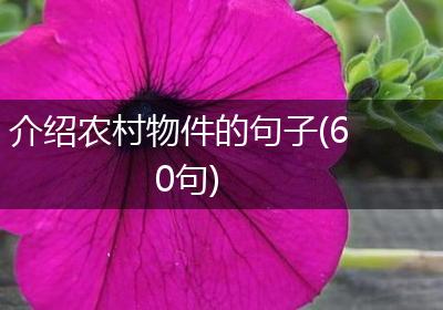 介绍农村物件的句子(60句)