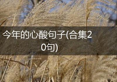今年的心酸句子(合集20句)