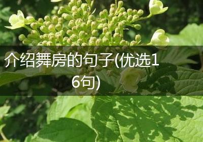 介绍舞房的句子(优选16句)