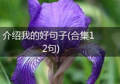 介绍我的好句子(合集12句)