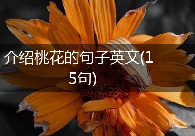 介绍桃花的句子英文(15句)
