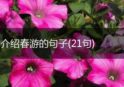 介绍春游的句子(21句)