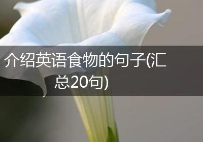 介绍英语食物的句子(汇总20句)