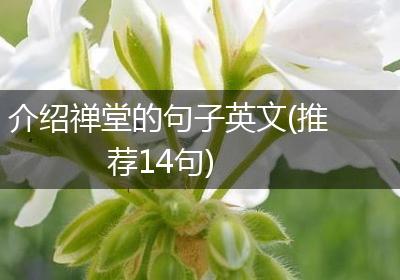 介绍禅堂的句子英文(推荐14句)