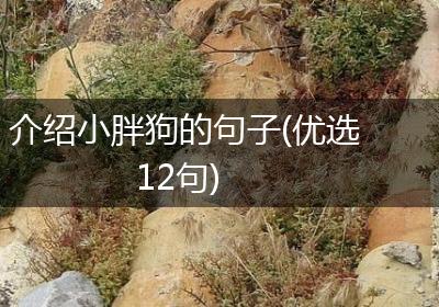 介绍小胖狗的句子(优选12句)