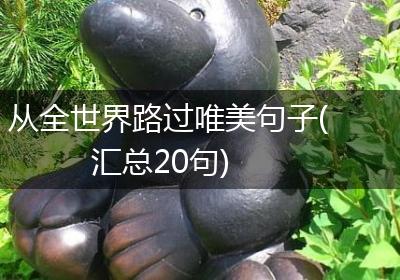 从全世界路过唯美句子(汇总20句)
