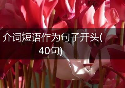 介词短语作为句子开头(40句)