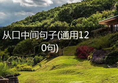 从口中间句子(通用120句)