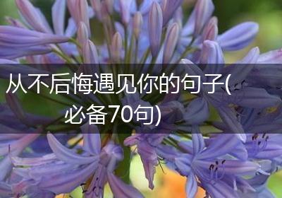 从不后悔遇见你的句子(必备70句)