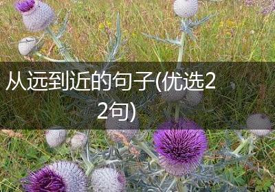 从远到近的句子(优选22句)
