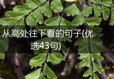 从高处往下看的句子(优选43句)