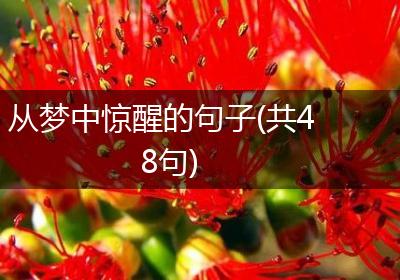 从梦中惊醒的句子(共48句)
