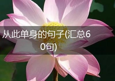 从此单身的句子(汇总60句)