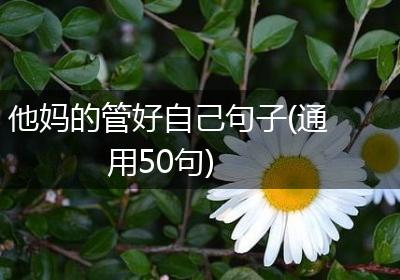 他妈的管好自己句子(通用50句)