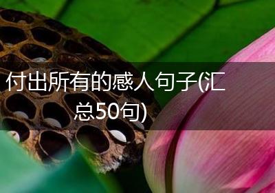 付出所有的感人句子(汇总50句)
