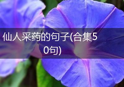 仙人采药的句子(合集50句)