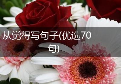 从觉得写句子(优选70句)