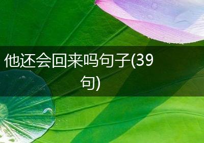 他还会回来吗句子(39句)