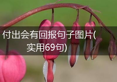 付出会有回报句子图片(实用69句)