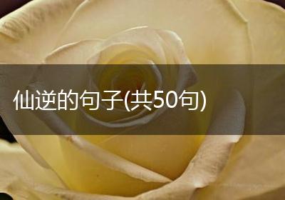 仙逆的句子(共50句)