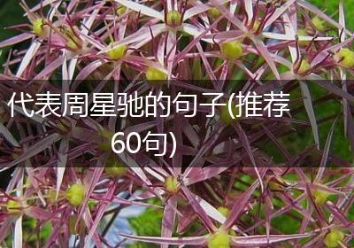 代表周星驰的句子(推荐60句)