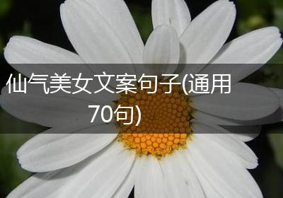 仙气美女文案句子(通用70句)