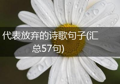 代表放弃的诗歌句子(汇总57句)
