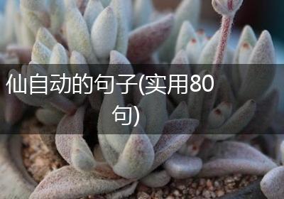 仙自动的句子(实用80句)
