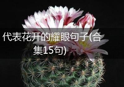 代表花开的耀眼句子(合集15句)