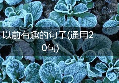 以前有趣的句子(通用20句)