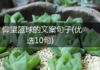 仰望篮球的文案句子(优选10句)