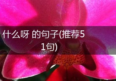 什么呀 的句子(推荐51句)