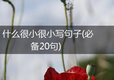 什么很小很小写句子(必备20句)