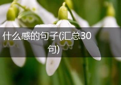 什么感的句子(汇总30句)