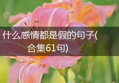 什么感情都是假的句子(合集61句)