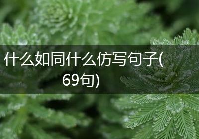 什么如同什么仿写句子(69句)