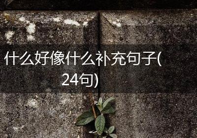 什么好像什么补充句子(24句)