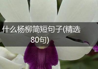 什么杨柳简短句子(精选80句)