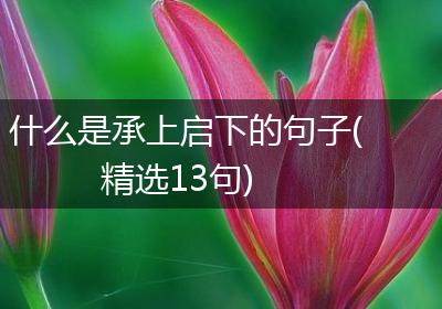 什么是承上启下的句子(精选13句)