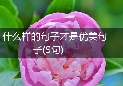 什么样的句子才是优美句子(9句)