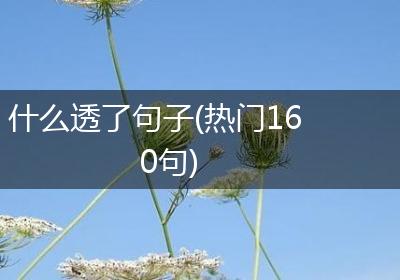 什么透了句子(热门160句)