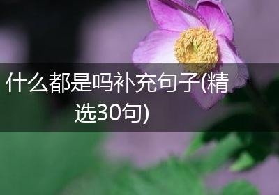 什么都是吗补充句子(精选30句)