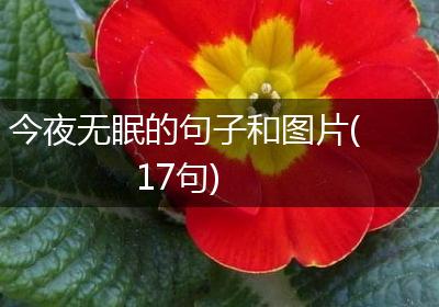 今夜无眠的句子和图片(17句)