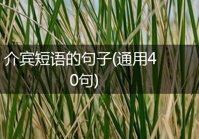 介宾短语的句子(通用40句)